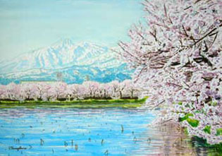 高田公園の桜と妙高