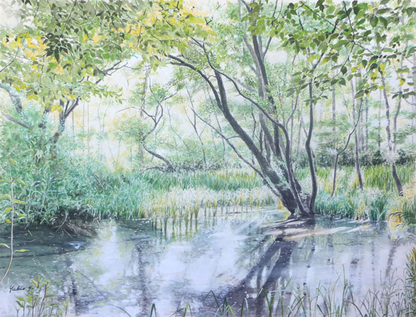 柳原 幸夫 | Yanagihara Yukio WEB GALLERY